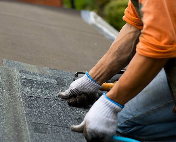 Best Roof Gutter Cleaning  in Foley, MN