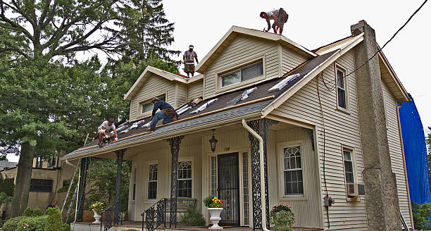 Best Gutter Installation and Roofing  in Foley, MN