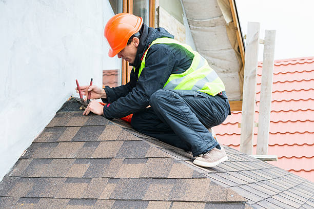 Best Metal Roofing Contractor  in Foley, MN