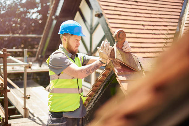 Best Residential Roofing Contractor  in Foley, MN