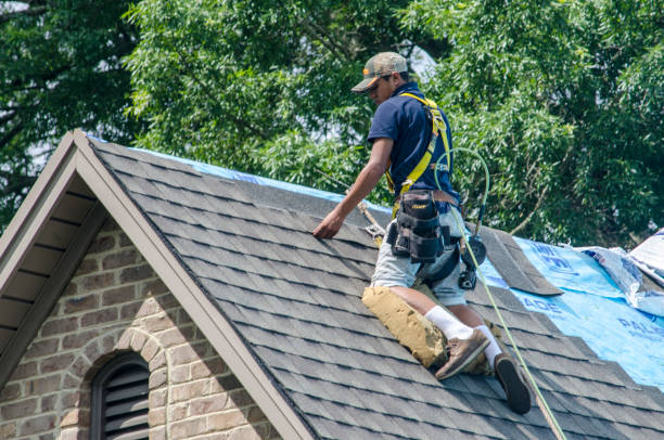 Best Roof Restoration Services  in Foley, MN